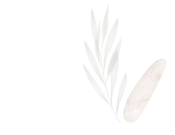 UN.E RESPONSABLE DU DEVELOPPEMENT FOOD ET ONFR